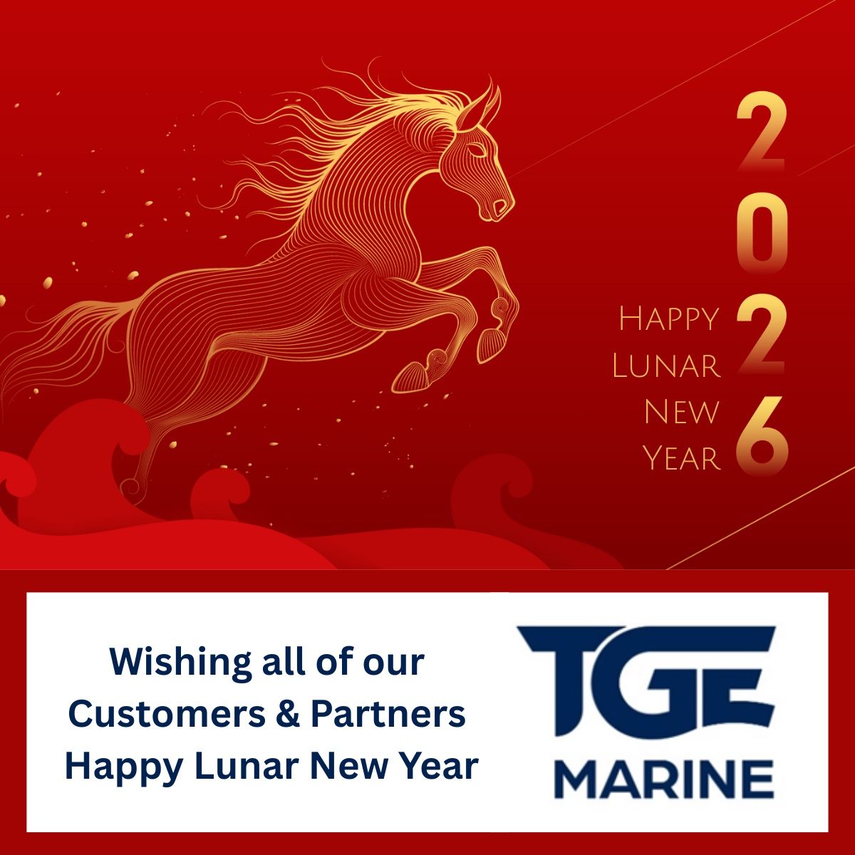 TGE Marine Gas Engineering